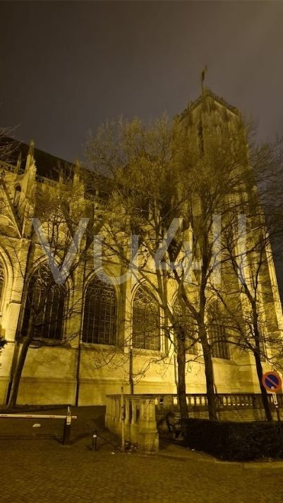 Brüksel Sint Michiel Kilisesi